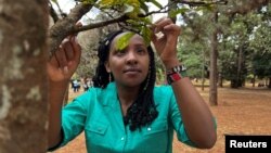 FILE: Elizabeth Wathuti, Kenyan environment and climate activist looks at the leaves of a tree at the Nairobi Arboretum. Taken October 8, 2022