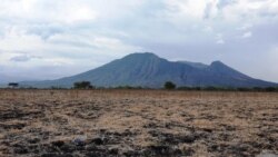 Savana kering dan gunung di TN Baluran, Situbondo, Jawa Timur. (Foto: VOA/Nurhadi Sucahyo)