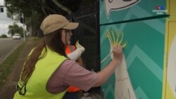 Նկարիչները օգնել են Բրիսբանի փողոցները վերածել հանրային գունավոր պատկերասրահների