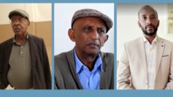 Dhaabonni Humna Qawween Moorummaa Lolaa Jiran Marii Biyyaalessaatti Hirmaachuu Qabu fi Hin Qaban?
