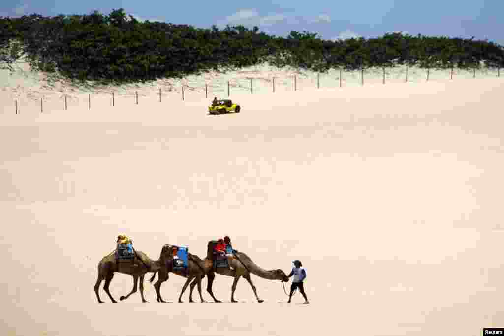 Tourists ride on camels at the Genipabu dunes in Natal, northeastern Brazil. Natal is one of the host cities for the 2014 World Cup soccer tournament in Brazil.