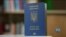 Представники діаспори та експерти вказали на недоліки законопроєктів Зеленського про множинне громадянство. Відео