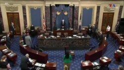 Սենատում լսում են Թրափի փաստաբաններին