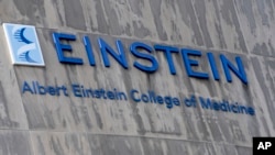 El logotipo de la Facultad de Medicina Albert Einstein se ve en un edificio del campus, el martes 27 de febrero de 2024, en el distrito del Bronx de Nueva York. La escuela de medicina será gratuita para todos los estudiantes gracias a la millonaria donación de una exprofesora.