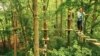 There are 6 sections of treetop obstacles at the Go Ape course, including wobbly rope bridges from one tree to another. (Courtesy Go Ape Treeptop Adventures)