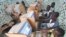 Jeunes Ivoiriens dans un cyber café d' Abidjan. (archives)