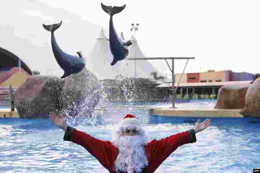 A man dressed as Santa Claus poses with dolphins at the Marineland animal exhibition park in the French Riviera city of Antibes, southeastern France.