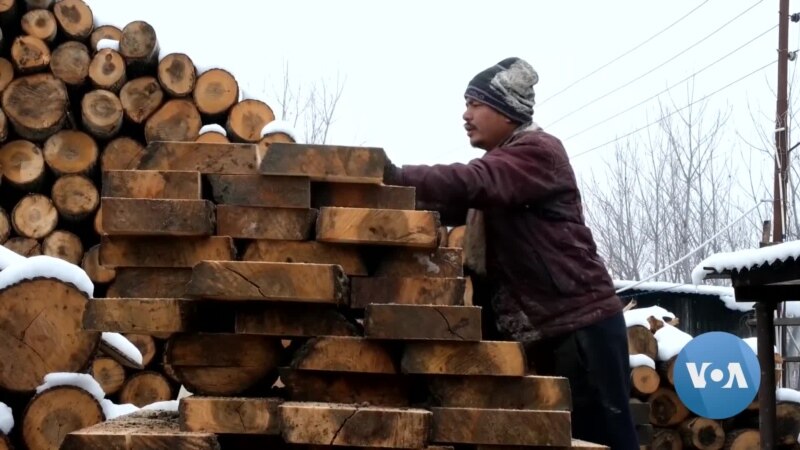 Kashmir’s Pencil Village Generates Two-Thirds of Wood Needed for Pencils in India