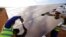 FILE - Workers install a solar panel at a photovoltaic solar park situated on the outskirts of the coastal town of Lamberts Bay, South Africa, March. 29, 2016. Renewable energy's potential across the African continent remains largely untapped, according to a UN report. 