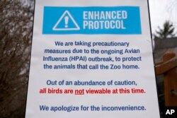 A sign is seen instructing visitors of a closed bird exhibit at the Blank Park Zoo, April 5, 2022, in Des Moines, Iowa. Zoos across North America are taking steps to protect birds from avian influenza.