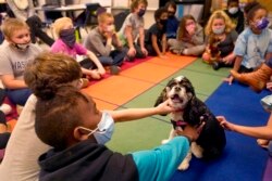 Therapy dog Tillie sits with students at Quincy Elementary School, Nov. 3, 2021, in Topeka, Kansas. The dog visits are to relieve stresses faced by students as they returned to classrooms amid the ongoing pandemic.