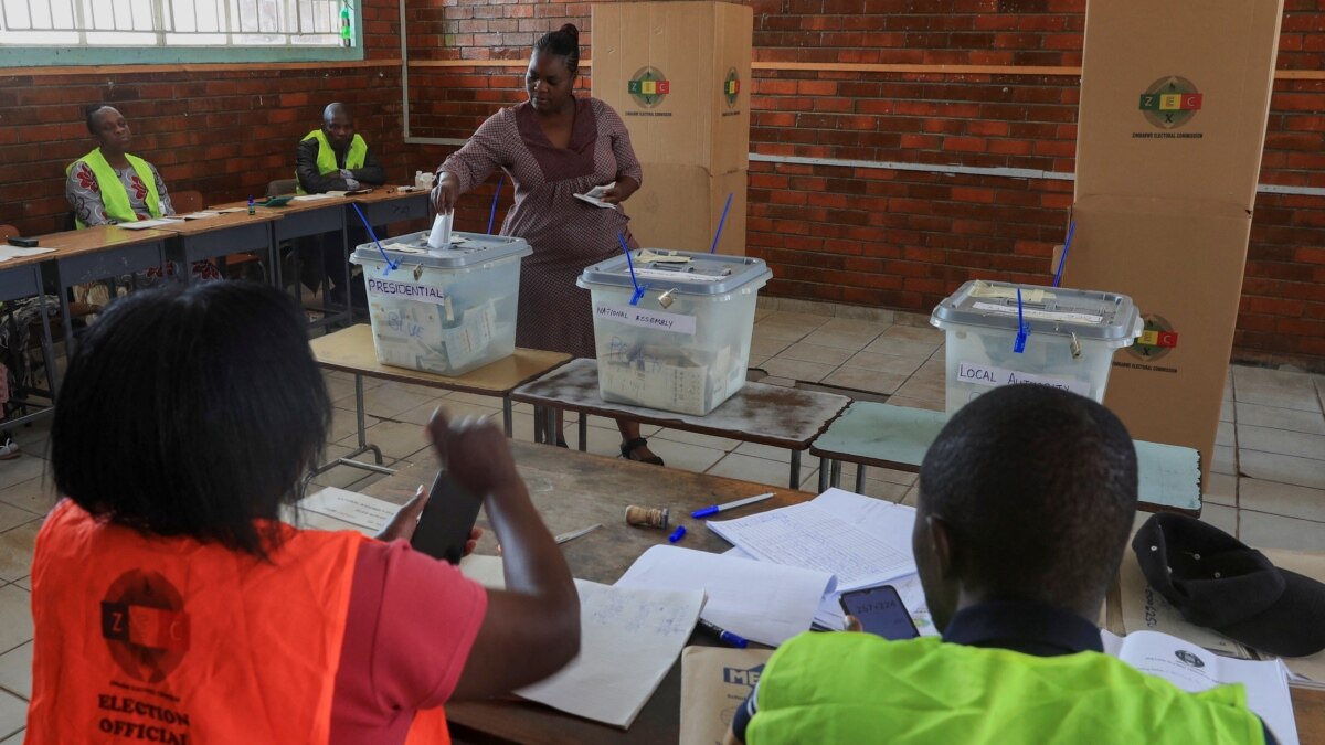 British Govt Condemns Zimbabwe Elections - Vimarsana News