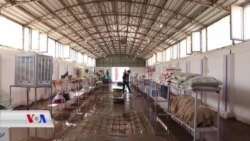 Li Amûdê Bazara Keskahî û Fekîyan ya Jinan Hate Vekirin