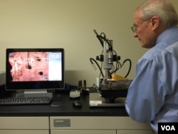 Joe Reynolds, CEO of RTI Group LLC uses digital high resolution microscope to examine rivets, Aug. 11, 2015. (Photo: Carolyn Presutti / VOA)
