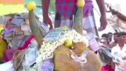 Հնդկաստանում գյուղացիները սգացել են ցլի մահը՝ անտեսելով կորոնավիրուսի վտանգը