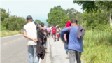 Nueva caravana migrante sale de Honduras