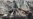 IS Fighters in Disarray in Iraq Due to Air Power, says US General