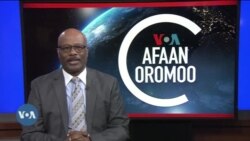 Tamsaasa Guyaadhaa Guyyaa