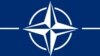Вступ до НАТО підтримує 44% українців - опитування 