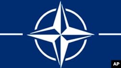 Logo of the North-Atlantic Treaty Organization, or NATO.