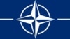 НАТО: жодна третя країна не може накладати вето на розширення альянсу
