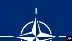 Logo of the North-Atlantic Treaty Organization, or NATO.