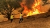 Algeria Wildfire Toll Rises