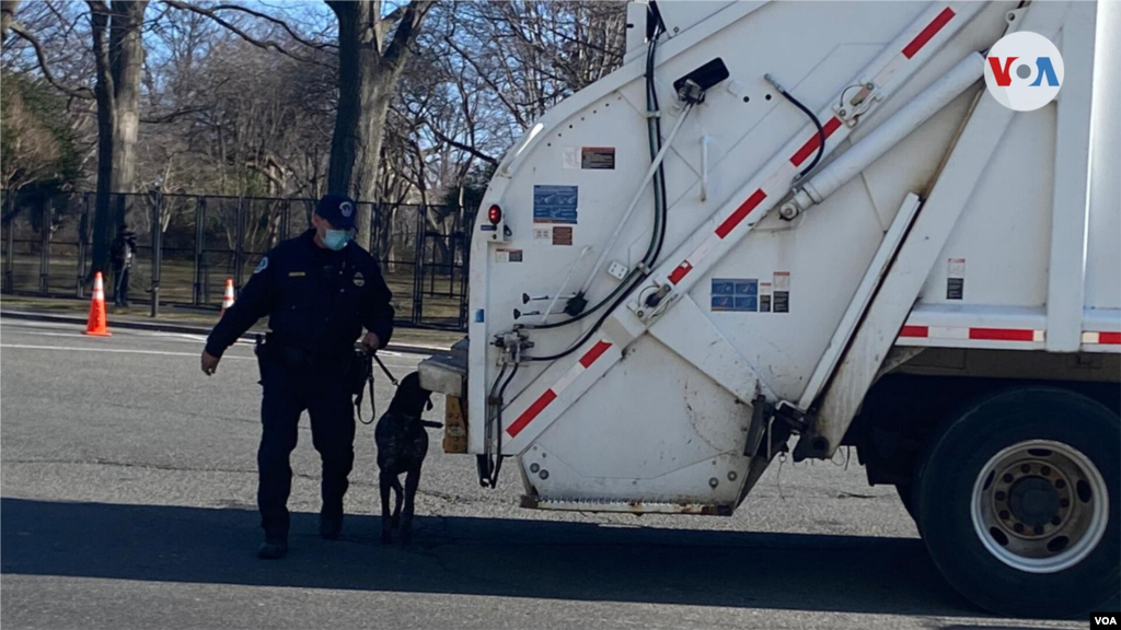 Un oficial y su perro chequean la zona cercana al Capitolio. 14 de enero de 2021. Foto: Celia Mendoza. 