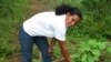 USAID's Job Done In Panama