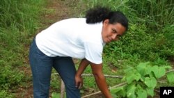 With USAID support, small farmers in the Panama Canal Watershed have improved the way they farm. 