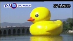 Vịt khổng lồ đến Trung Quốc dịp Quốc khánh (VOA60)