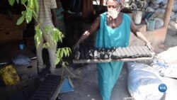 Senegal aposta no carvão biológico