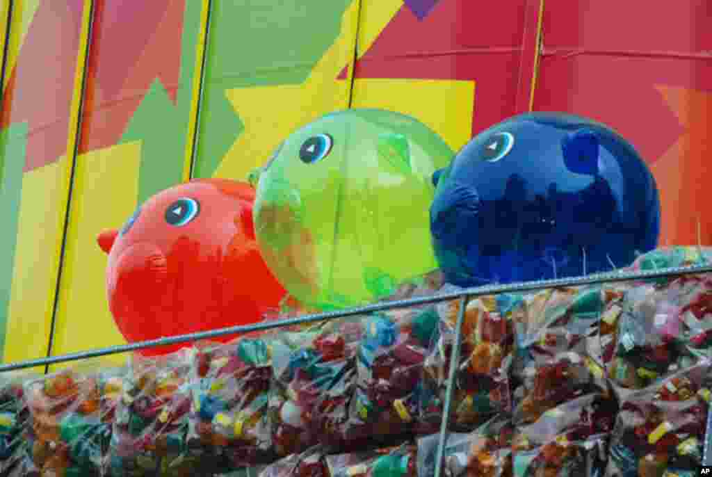 三隻小豬是民進黨總統候選人蔡英文陣營的主要宣傳品