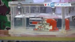 Manchetes mundo 12 Janeiro: Mergulhadores da Indonésia recuperam caixa negra do avião que caiu