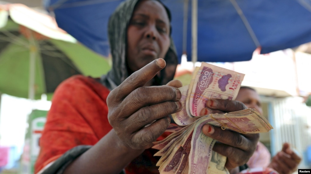 FILE - A money changer counts local currency notes at a local bureau where $100 US dollar exchanges for 750,000 Somaliland shillings in Hargeysa.