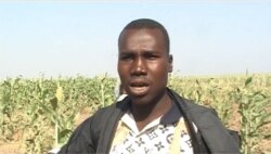 Illiasu Issa, farmer in Waza, Cameroon, Feb. 3, 2021. (Moki Edwin Kindzeka/VOA)