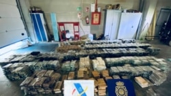 This May 2021 image from an affidavit for a search warrant, provided by the U.S. Department of Justice, shows cocaine that had been transported in hollowed-out pineapples from Costa Rica to Spain.