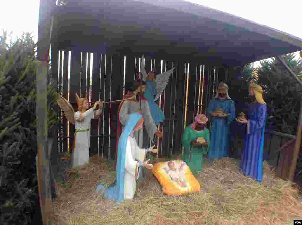 白宫前布置的显示耶稣诞生的马厩。这也是历年传统。