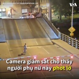 ‘Điếc không sợ súng’
