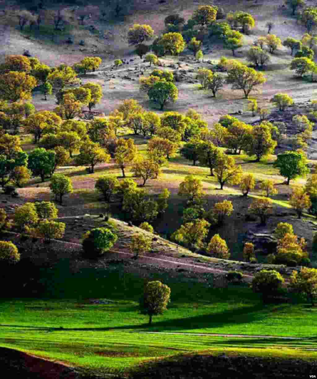 طبیعت منطقه سی سخت- یاسوج عکس: بهزاد میرزایی (ارسالی شما) 