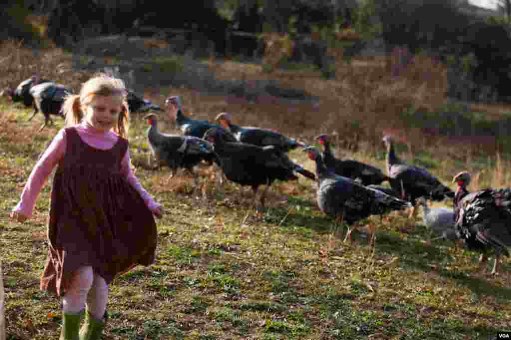 Ingrid Summers with some of the turkeys. (Alison Klein/VOA)