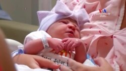 SHORT VIDEO: Լույս աշխարհ եկավ փոքրիկ Էքլիփսը