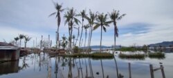 Kondisi banjir rob pada Juni 2020 di desa Tompe, Kecamatan Sirenja, Kabupaten Donggala Sulawesi Tengah, Minggu (23/8). (Foto: David Lamanyuki/Penabulu Palu)