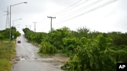 Fallen trees lay on the side of a road after the passing of Hurricane Pamela in Mazatlan, Mexico, October 13, 2021.