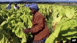 Bulawayo, Harare and Gweru have been hard hit by the job loses.