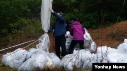 한국 내 탈북자단체인 자유북한운동연합이 12일 북한 노동당 제7차 대회를 비판하는 내용의 대북전단을 살포했다. 자유북한운동연합은 이날 경기도 김포시 월곶면 용강리에서 대북전단 30만장을 대형 비닐 풍선 10개에 매달아 북으로 날려 보냈다. 