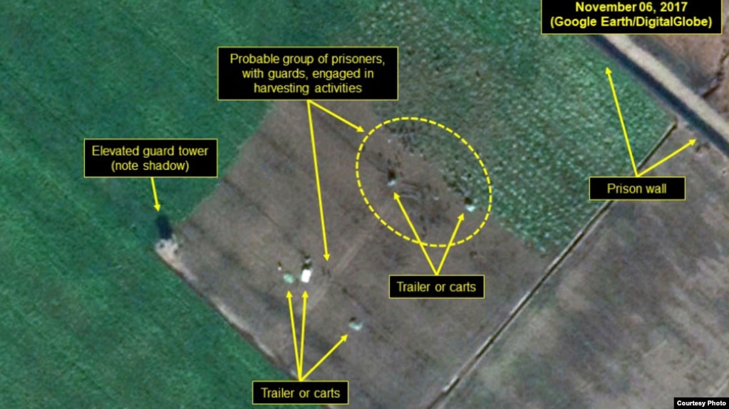 ̱ ΰü αȸ(HRNK) 30 û 25ȣ   ߴ.