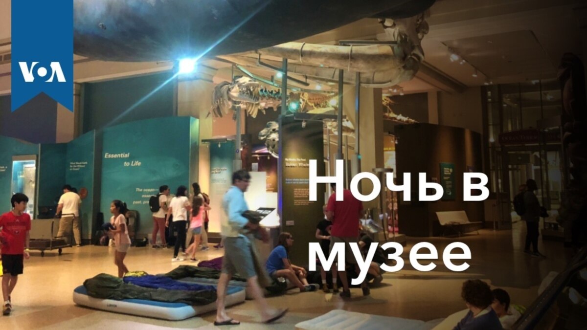 Ночь в музее