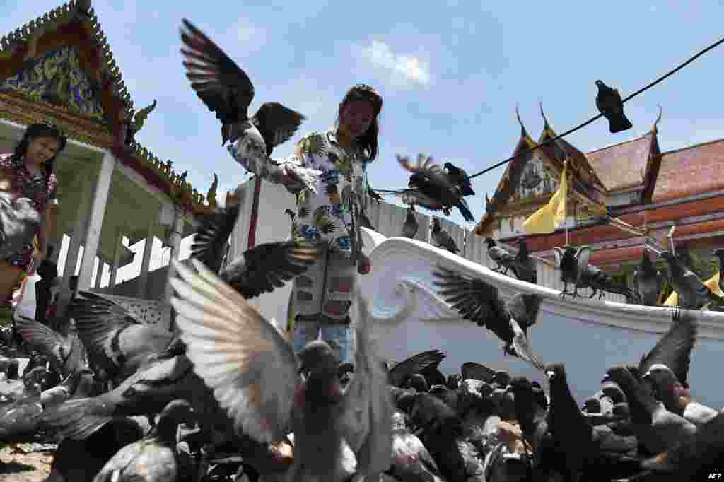 ក្មេងស្រី២នាក់ ឲ្យចំណីព្រាបនៅវត្ត Wat Rakang ក្នុងទីក្រុងបាងកក។