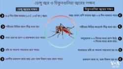 ডেঙ্গুর সাথে চিকুনগুনিয়ার লক্ষণের পার্থক্য